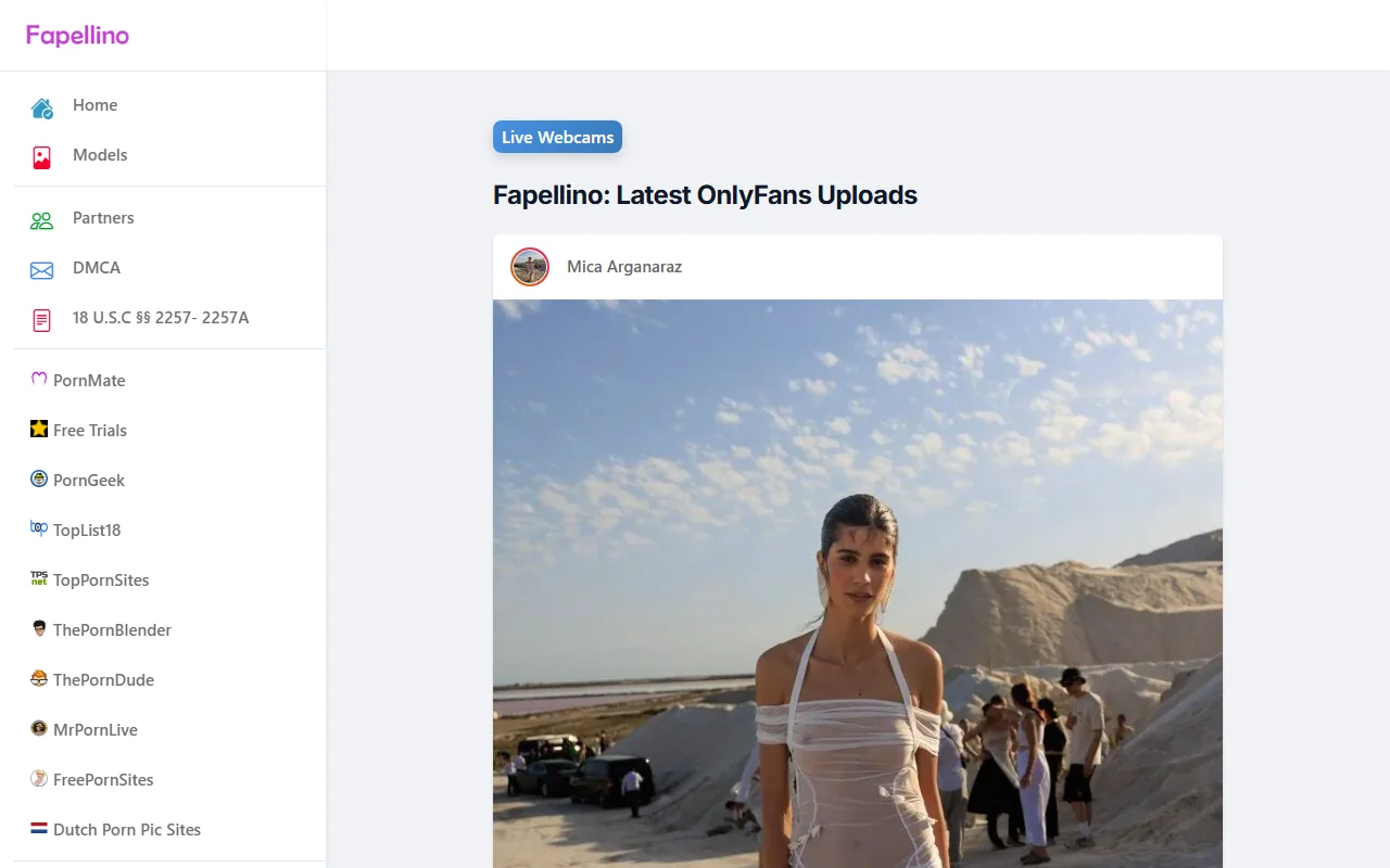 Screenshot of Fapellino Website Review